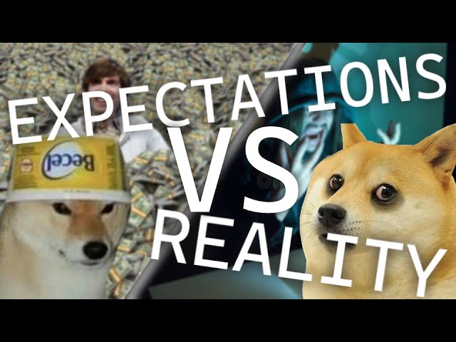 Programming: Expectations vs Reality