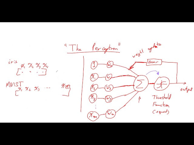 ITS 365 - The Perceptron in Python and Numpy