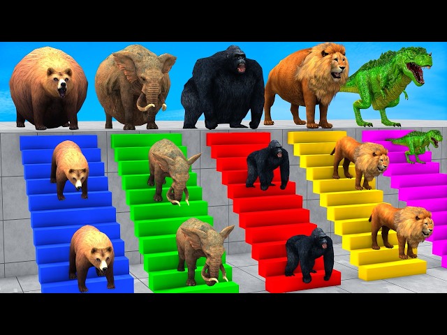 Long Slide Game With Cow Elephant Gorilla Hippopotamus Tiger 3d Animal Game Funny 3d Animals