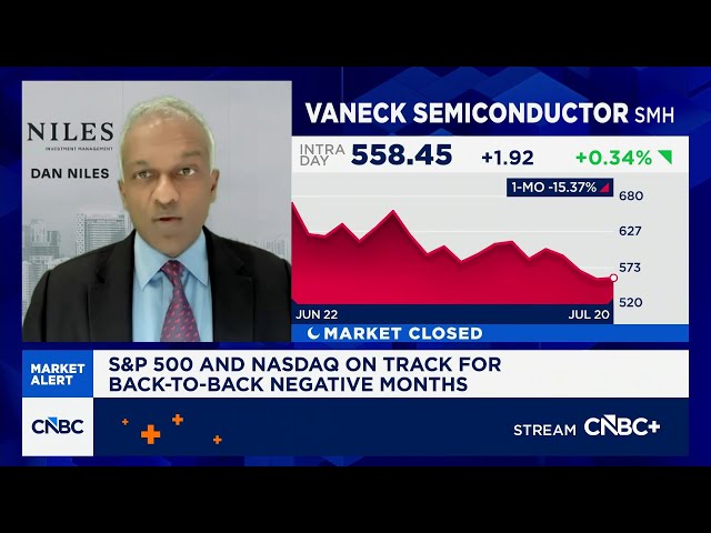 Semiconductor names are down a lot, but not oversold, says tech investor Dan Niles