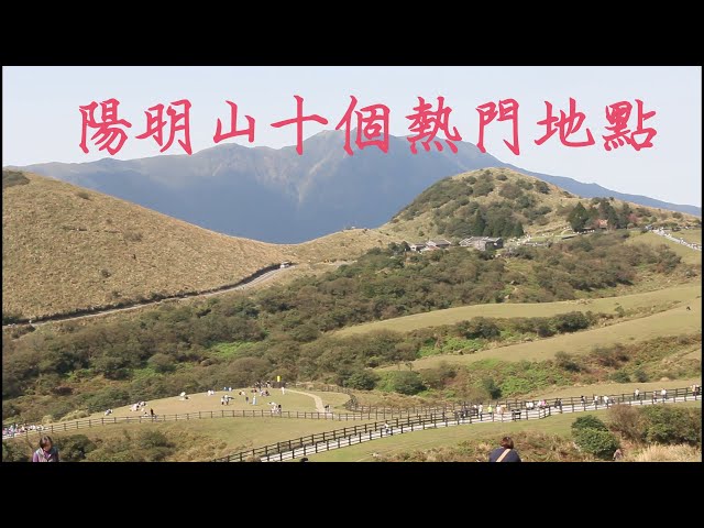 陽明山有什麼熱門景點?台北最美地方之一?陽明山有什麼美景?5分鐘帶你遊台北人後花園