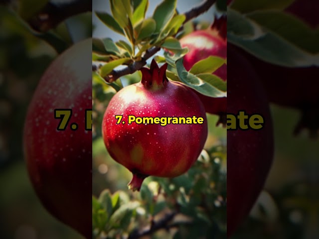 The 10 Foods Prophet Muhammad (SAW) Loved To Eat