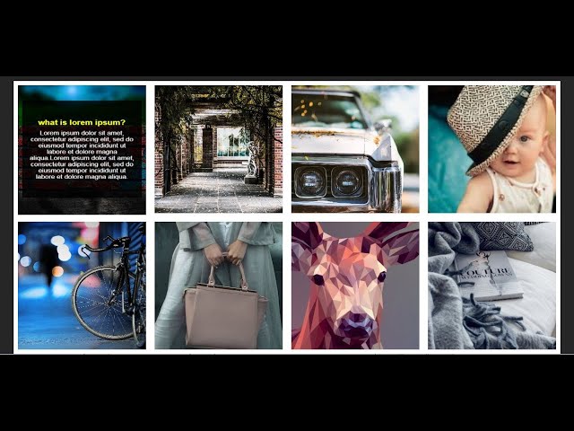 Image Hover Effects html & css part 1