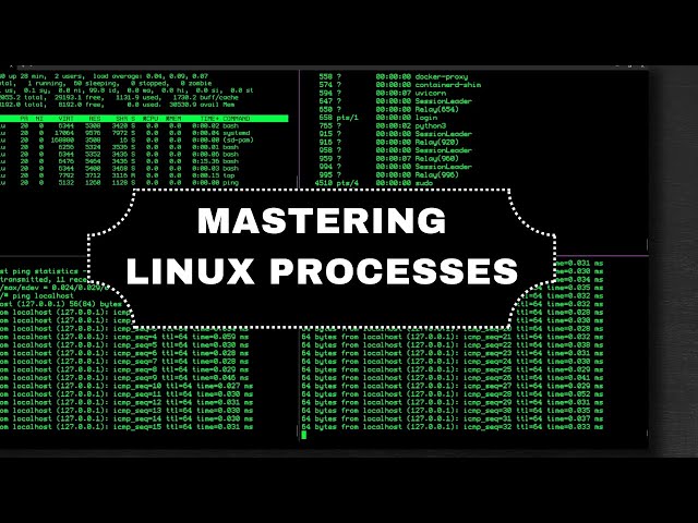 Understanding  Linux Processes in 8 minutes