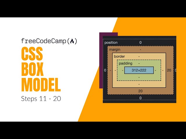FreeCodeCamp Walkthrough | Learn the CSS Box Model (Steps 11 - 20) - HTML & CSS Tutorial