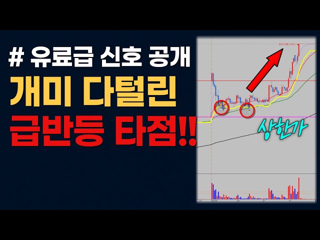 🔥유료급 엔벨로프 신호 공개합니다 개미털린 차트에서 ‘진짜 반등 버튼’