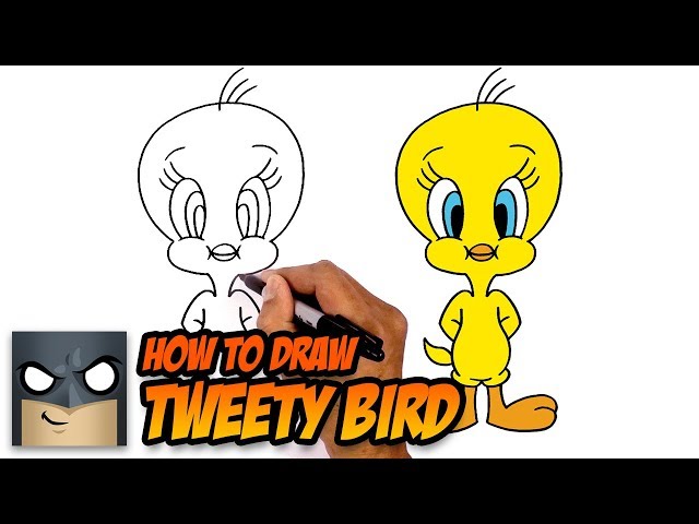 How to Draw Tweety Bird | Beginner Drawing Tutorial (Step-by-Step)