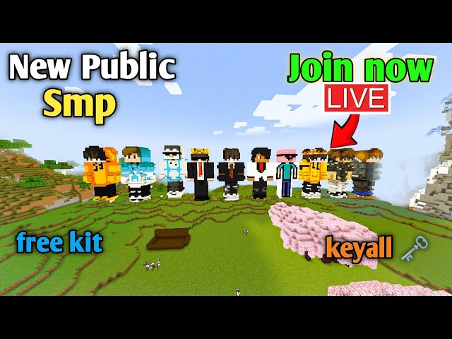💀 NEW BEST CRACKED PUBLIC LIFESTEAL SMP 🧁 | Minecraft Java + PE + Pojav | 24/7 ONLINE |... LIVE