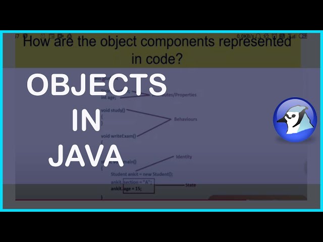 Class 10th ICSE | Objects in JAVA | Chapter 1 | Part 1