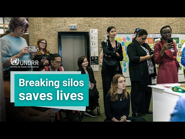 What is the value of the Stakeholder Engagement Mechanism? | UNDRR