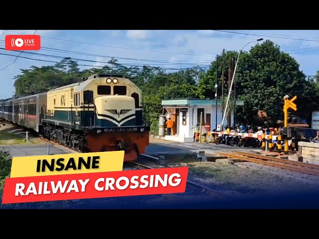 LIVE Train Spotting 🚆 | Fast Trains Passing | Real Railway Crossing Indonesia