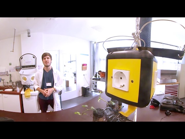 Science Hack Day Berlin 2016 - "Rock your rainbow" spectrometer project