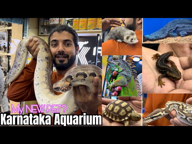 EXPLORING BIGGEST EXOTIC PETS COLLECTION | KARNATAKA AQUARIUM