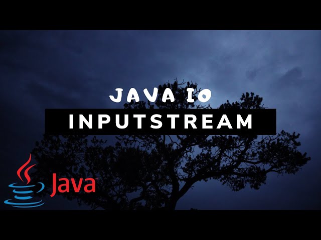 Java IO - Input Streams [#3]
