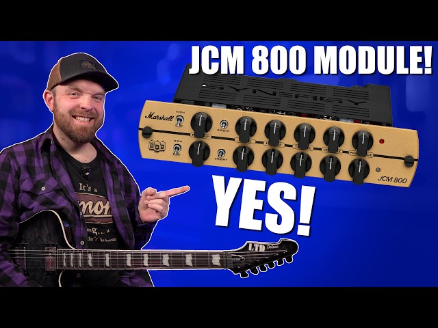 The Synergy module we've been waiting for! (Marshall JCM 800)