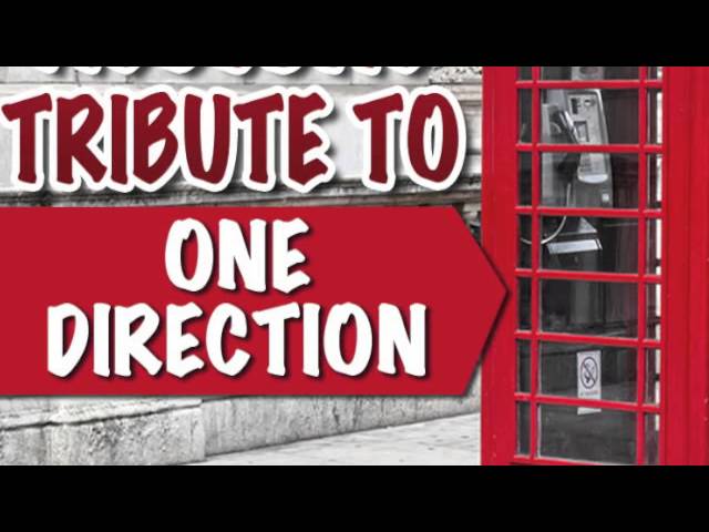 One Thing - One Direction Acoustic Tribute