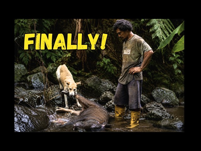 Tau Finally Caught a Wild Pig | Traditional Catch & Cook in Samoa