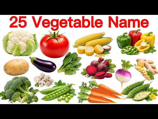 Learn the names of 25 vegetables | 25 Vegetables Name English and Hindi | Vegetable Name | Vegeta...