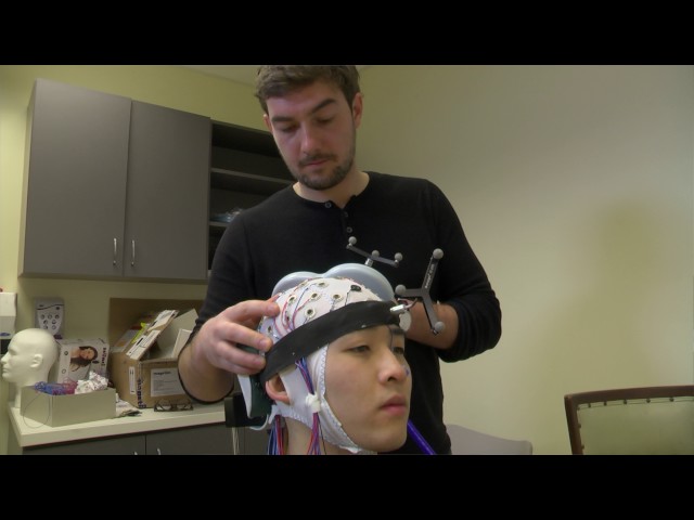 Causal Role of Theta Oscillations in Auditory Working Memory