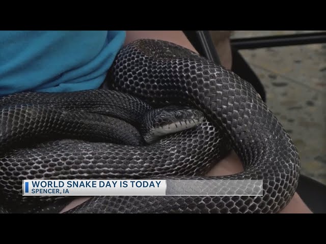 Spencer learning center hosts snake information event for World Snake Day