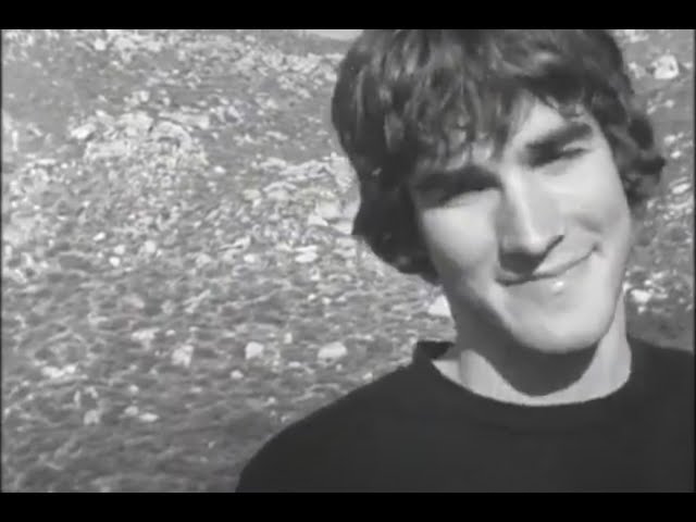 Chris Doyle // System Video // 2004