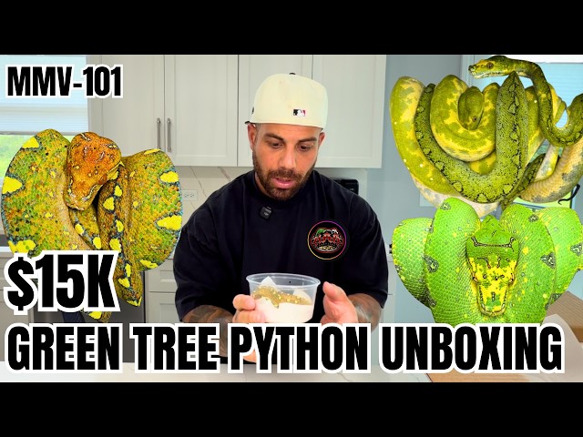 $15k Green Tree Python Unboxing VLOG!