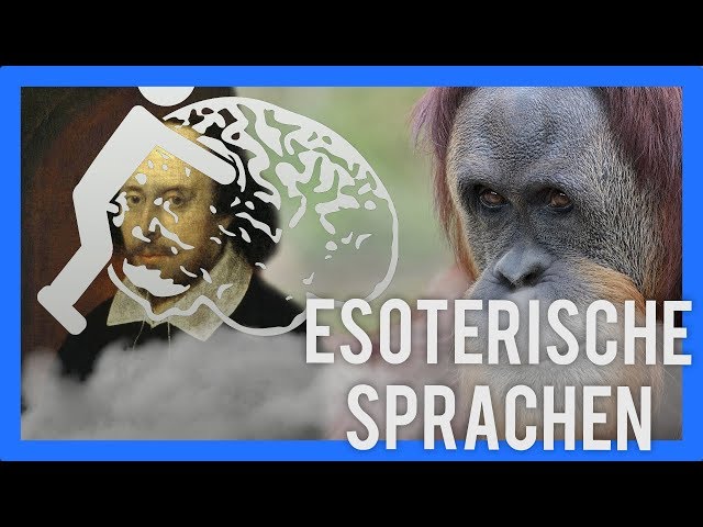 Über Brainfuck, Orang-Utans und co. 💻 Esoterische Programmiersprachen