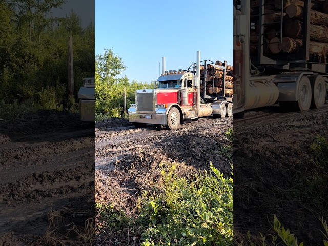 Now Hiring #loggingequipment #bluecollarlogger #logging