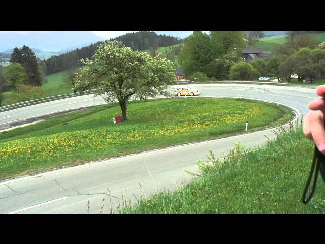Audi Quattro S1 Group B Replica by Prospeed Motorsport, 2011 Rechberg Hillclimb Race