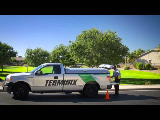 Day In The Life - Service Technician
