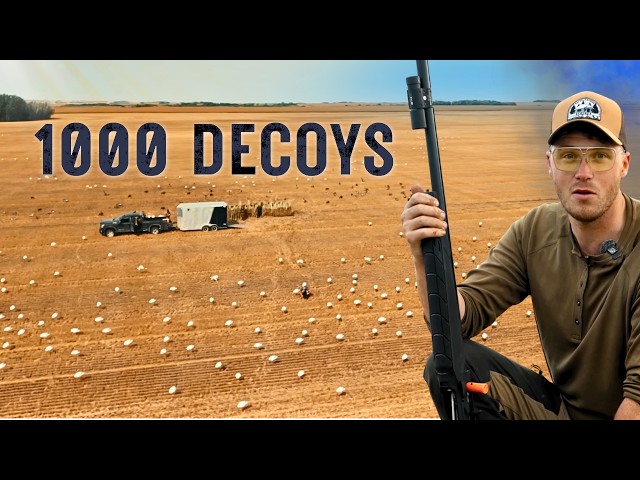 35 MILLION BIRDS: Our First Snow Goose Hunt in Saskatchewan