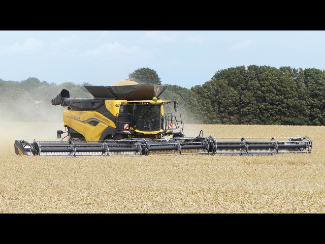 New Holland CR11 with 61 ft. Wide MacDon FD261 Header Harvesting | World's Biggest Harvest Setup