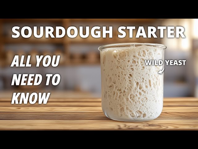 The Last SOURDOUGH STARTER RECIPE You Ever Need