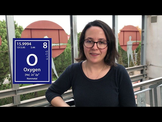 The new 2019 ICMAB members and their favorite Periodic Table Chemical Elements!