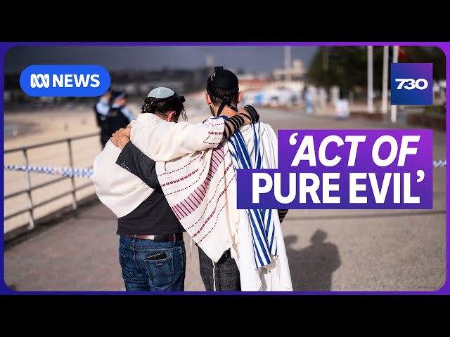 How the Bondi terror attack unfolded | 7.30