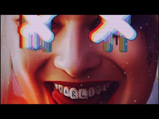 De La Rose - Harley