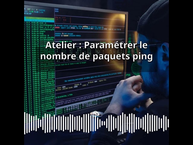 Atelier : Paramétrer le nombre de paquets ping | Expert CyberSecurité & DevSecOps : Développer,...