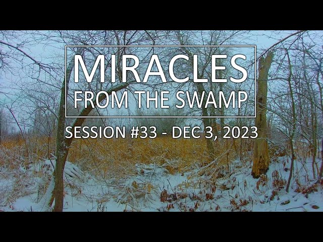 Miracles From The Swamp : Session #33 - December 3, 2023 at 10:35 AM | Virtual Reality / VR180