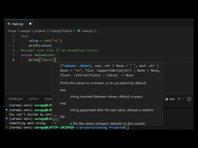 I'm Learning Python (Day 14: Error Handling with try/except/else/finally)