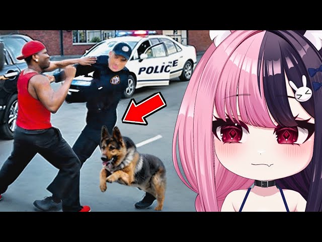 When K-9 Units Help Cops Take Down Bad Guy (Reaction)