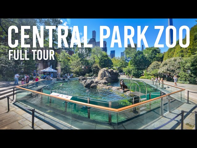 Zoo Tours: Central Park Zoo | FULL TOUR 