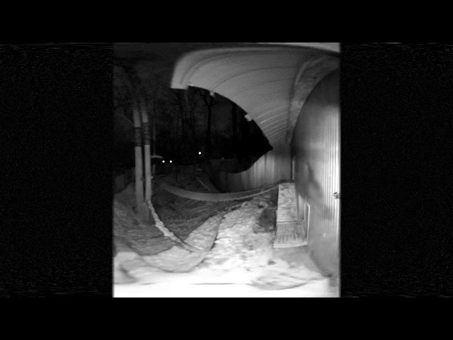 ZooLIVE - Red Panda Webcam