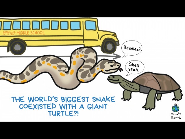 The World's Biggest Snake Coexisted With a Giant Turtle?!