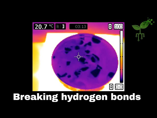 Breaking the hydrogen bonds | Introduction to Earth systems | meriSTEM