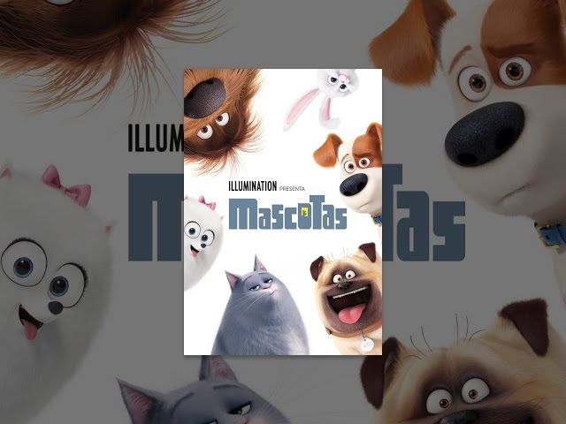 Mascotas