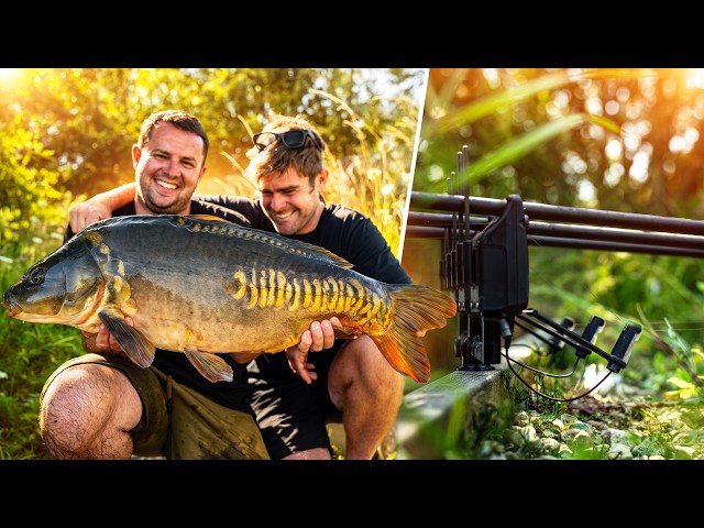 Seasons Of Carp | Summer Day Ticket Hauling | Embryo Baulking