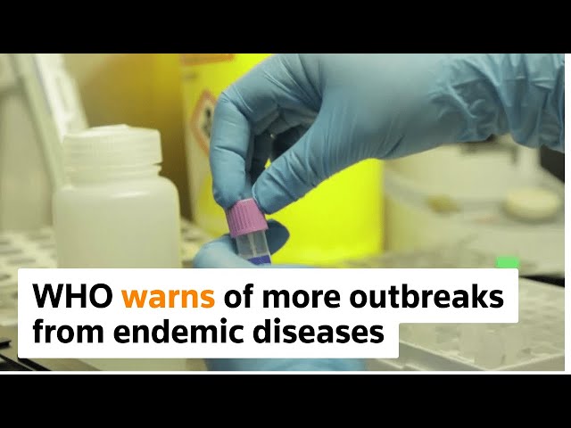 WHO warns of more outbreaks from endemic diseases