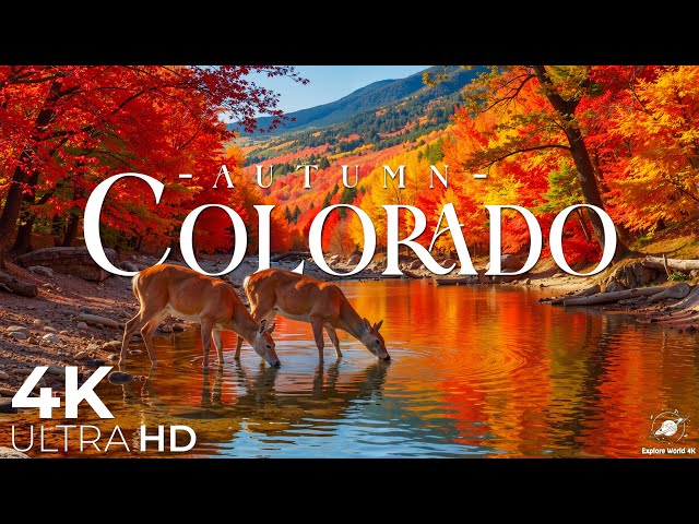 Colorado Autumn 4K 🍁 Scenic Drives, Aspen Trees & Rocky Mountains Fall Colors