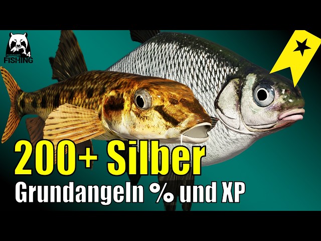 Russian Fishing 4 - Windenbach - Silver and XP with bottom fishing! Very easy, starter setup #rf4