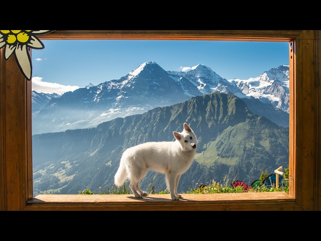 Swiss Autumn Travel Guide: 3 Hidden Gems You Must See